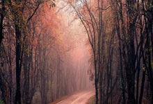 九游APP-丹麦绝杀莱比锡红牛，莫德里奇扛起全队