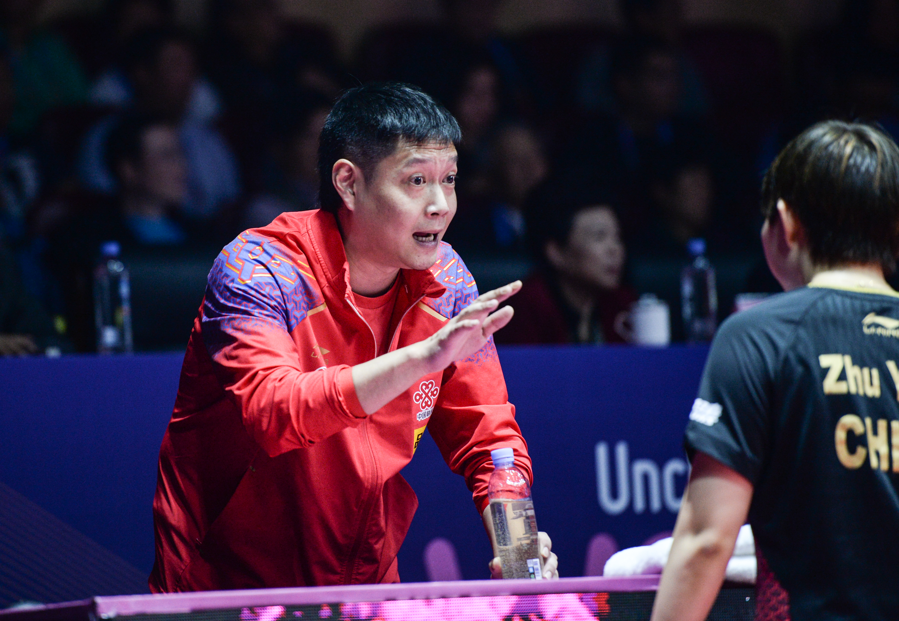 九游app下载-波兰队翻盘中国队，王皓惊艳四座的简单介绍