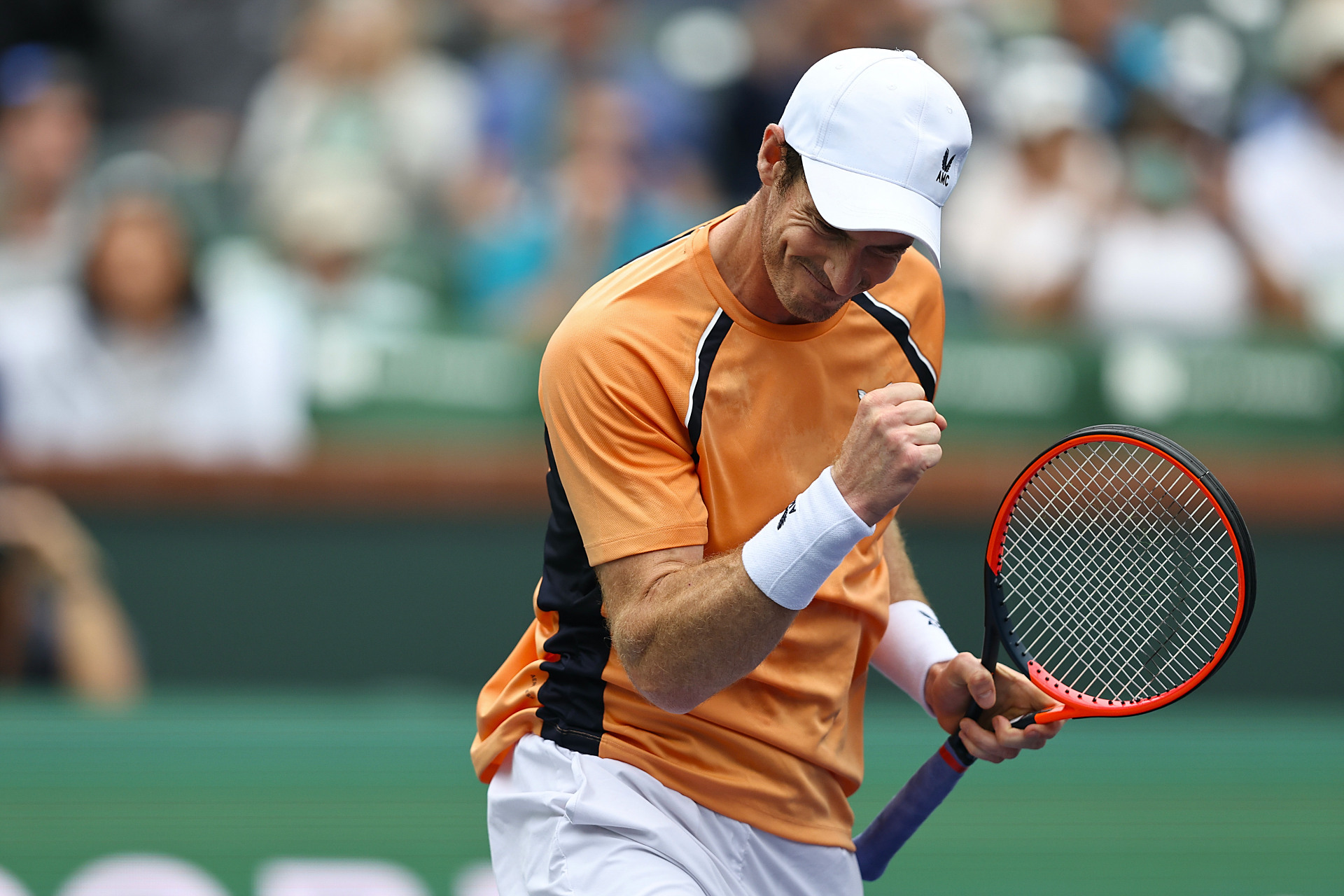 法网力克澳网，穆雷惊艳四座的简单介绍